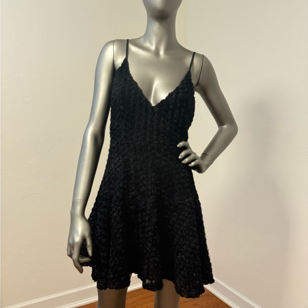 Lulu's Black 3-D Rose Fit &‎ Flare Whimsigoth Romantic Mini Dress NWT